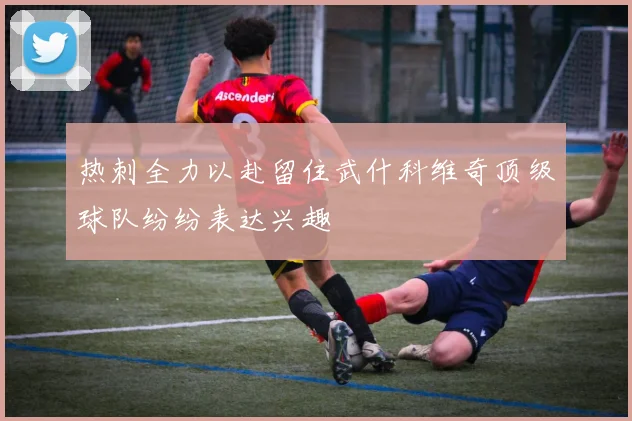 热刺全力以赴留住武什科维奇顶级球队纷纷表达兴趣